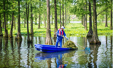 河道漂浮物檢測
